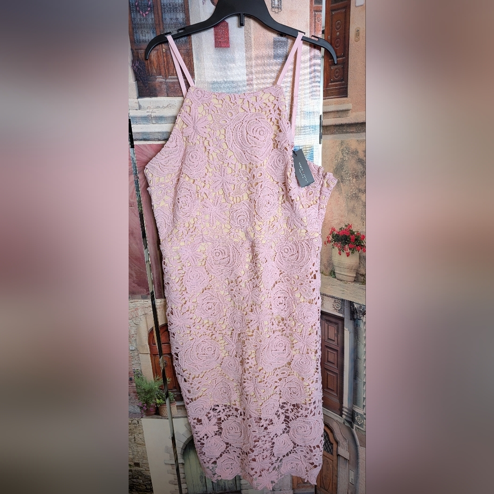 Romeo & Juliet Couture Pink Lace Midi Dress